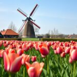 Geniet zorgeloos van je vakantie met georganiseerde reizen